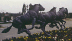 Sculpture: Mustangs, by sculptor Raymond Persinger, City of Brea, California